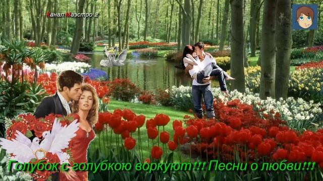 Голубок с голубкою воркует!!! Песни о любви!!! смотреть онлайн