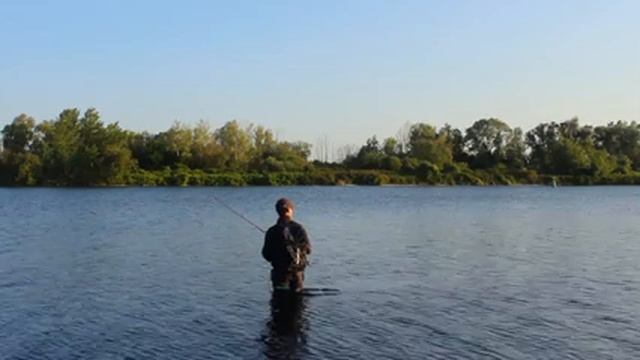 TROP DE VENT, je me rabats dans L'ESTUAIRE et ÇA PAYE ! (Pêche du bar au leurre en estuaire) смотреть онлайн