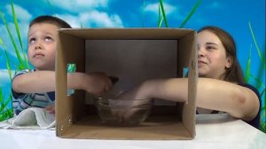 Челлендж Угадай что в коробке МОНСТРЫ в коробке WHAT'S IN THE BOX Challenge