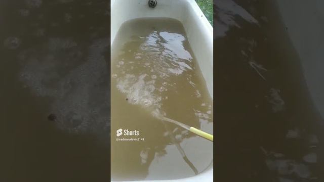 вода из крана в горловке 23.06.23 смотреть онлайн