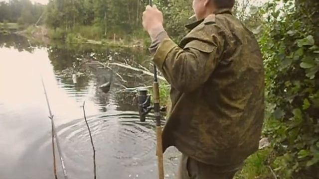 Рыбалка.Мечта рыбака,тишина,рыба плещется,еще и клюет. Карпинка,г.Кыштым. смотреть онлайн