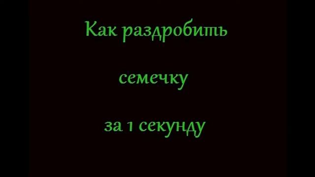 как раздробить семечку за 1 секунду смотреть онлайн