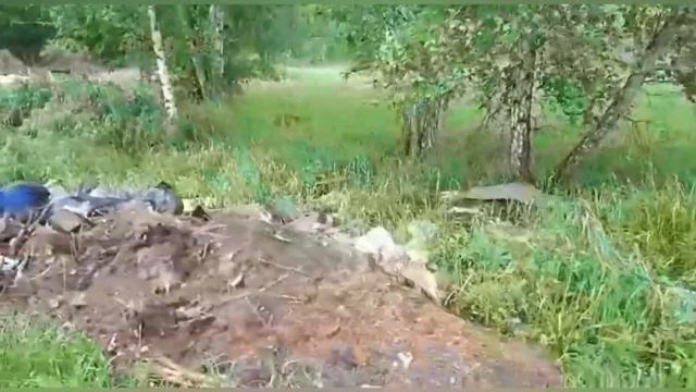 Лесные находки бывают разные.... смотреть онлайн