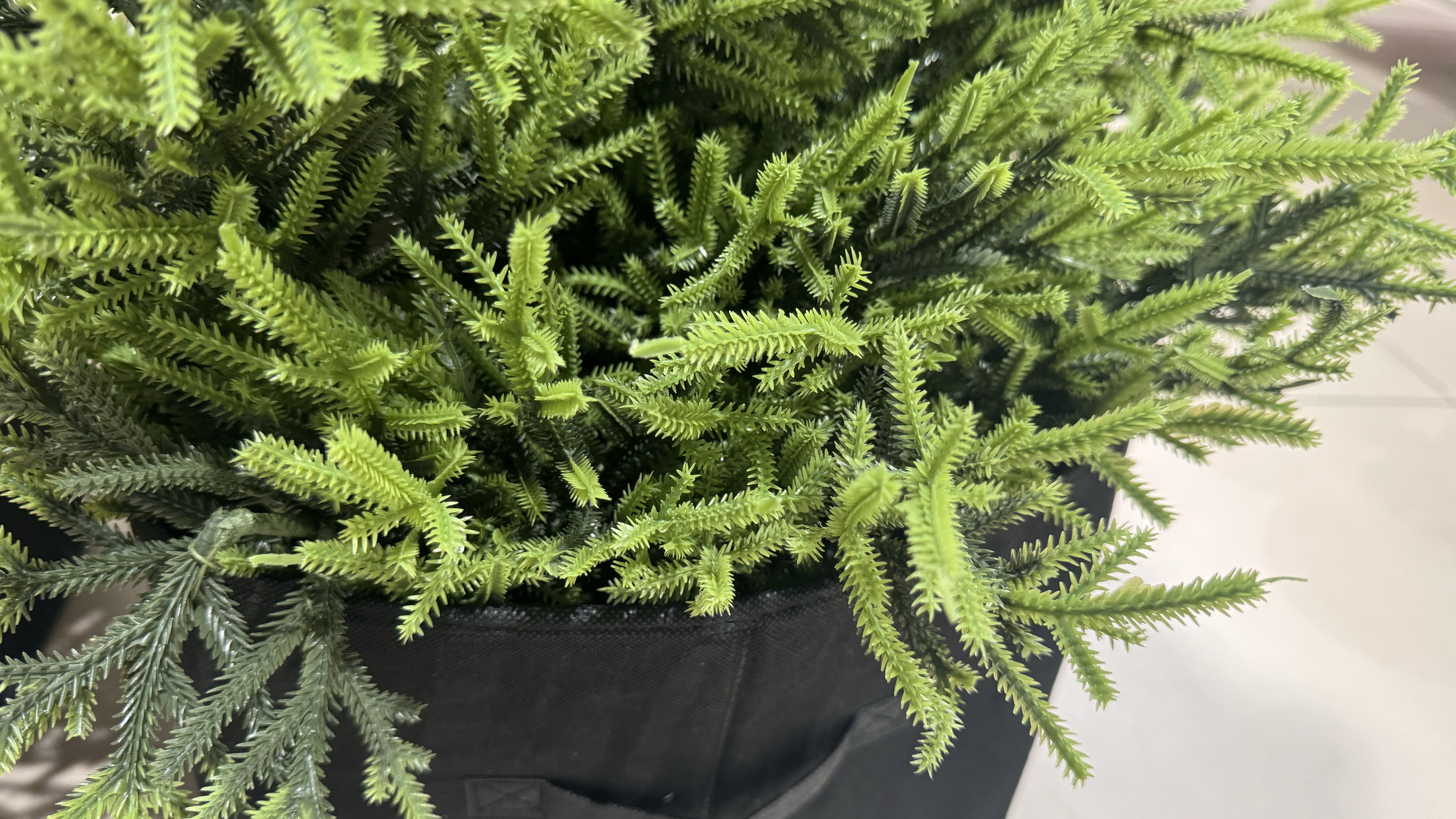 СИН | ОСЕНЬ | НОВЫЙ ГОД | befree бижутерия смотреть онлайн