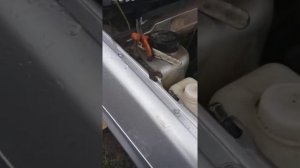 Машина заглохла и не заводится. Ваз 2109, 1.5л, 8клапанов. Моё решение проблемы.