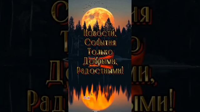 👍🎆✨ смотреть онлайн