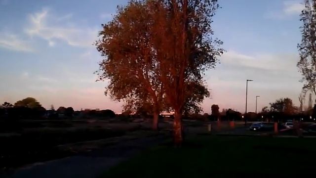 LATEST DRONE BIRDS from ORACLE!!! смотреть онлайн