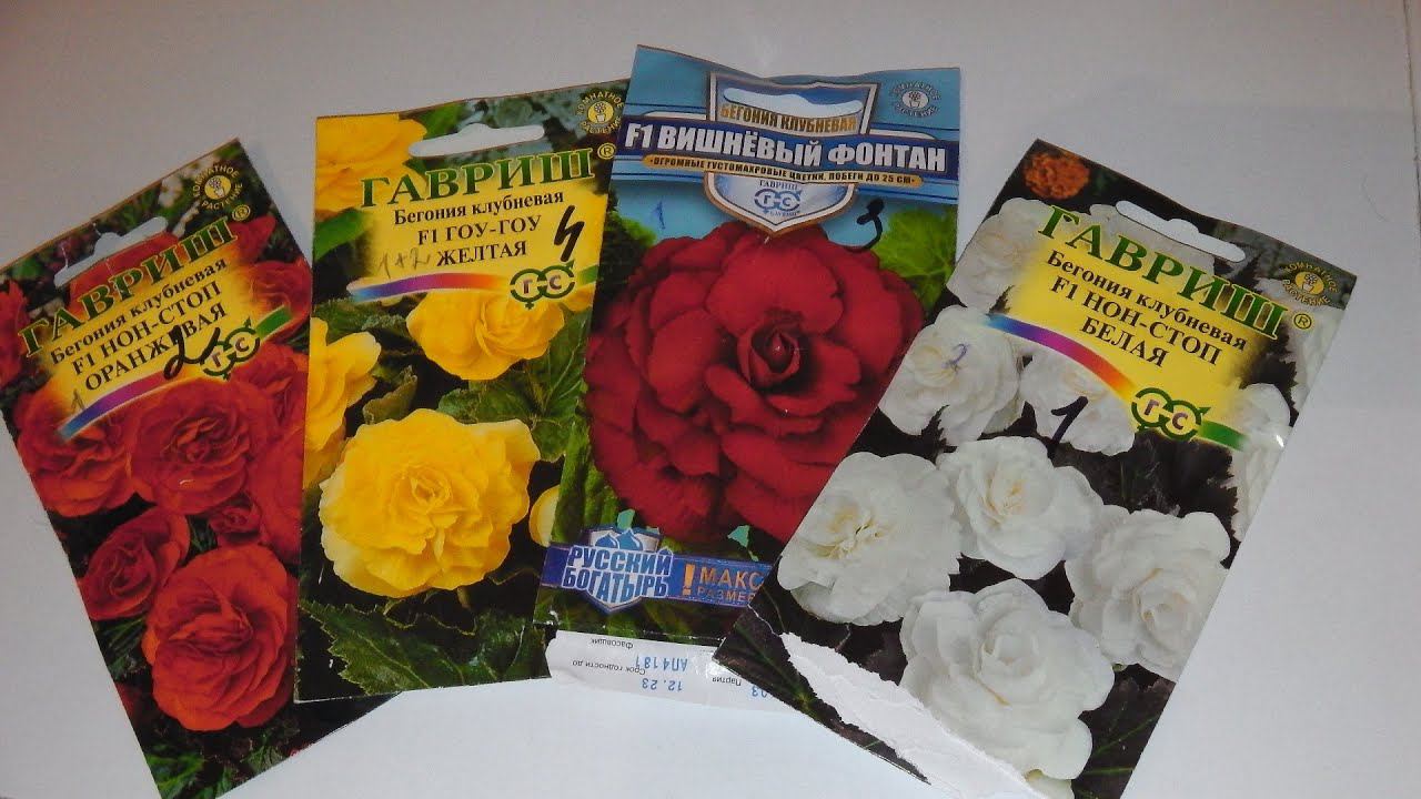 ПОСЕВ БЕГОНИИ НА РАССАДУ . ВСХОДЫ БЕГОНИИ смотреть онлайн