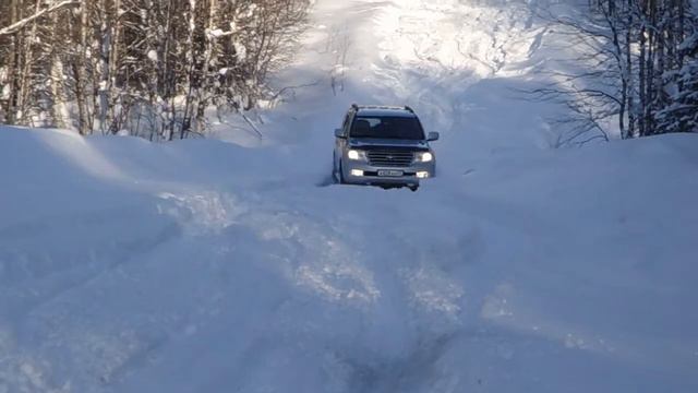 Волкоз смотреть онлайн