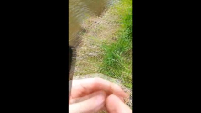 Рыбалка на перекатах))) смотреть онлайн