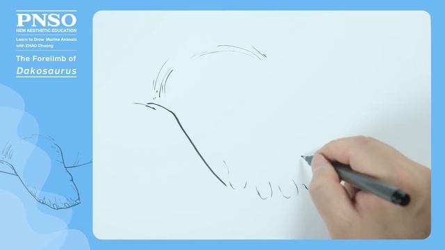 Paulwin the Dakosaurus 3: The Forelimb | Learn to Draw Marine Animals with ZHAO Chuang смотреть онлайн