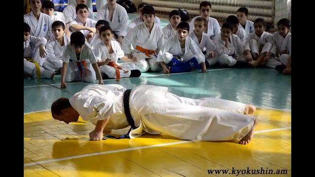 Seminar of Kyokushin karate in Armenia 2014 смотреть онлайн