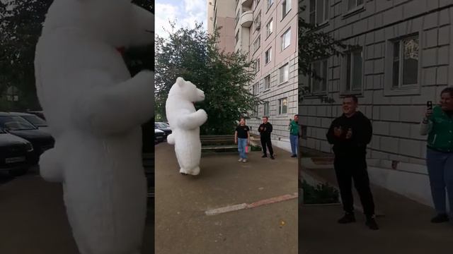 поздравление от Белого Мишки, т. 89198457704, Новая Москва смотреть онлайн