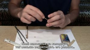 Липучка для мух