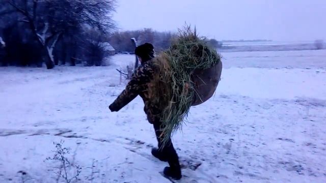 ЗИМА В ЯНВАРЕ. Даём сено овцам. смотреть онлайн