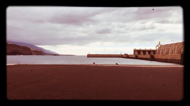 La Palma 2019 - Puerto de Tazacorte - 4.1.2019 смотреть онлайн