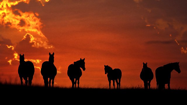 Baba Yaga - "So Ends Another Day" смотреть онлайн