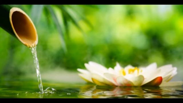Relax Music Nature  Bamboo Water Fountain