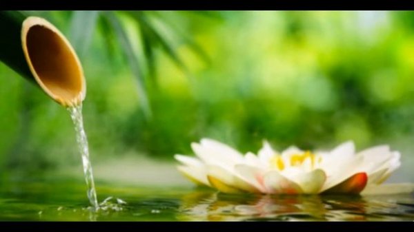 Relax music nature  Bamboo Water Fountain