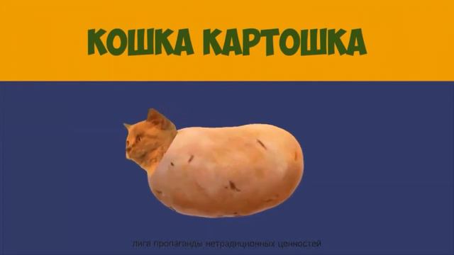 мышка сосиска разные виды смотреть онлайн