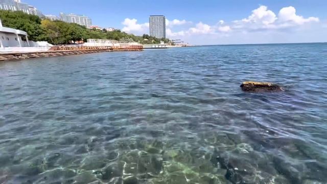 Одесса 2 августа 2022. Морько. Мертвые и живые дельфины. Пляж и рыбаки. Мидии. смотреть онлайн