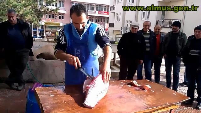 hasbi2 смотреть онлайн