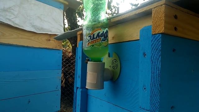 Поїлка - кормушка для бджіл в роботі (з ПП труби та пластикової пляшки) смотреть онлайн