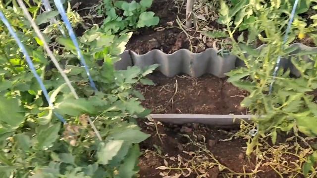 Кролики - это не только ценный мех ? .