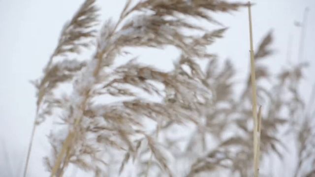 Тестовое видео сделано фотоаппаратом Nikon Coolpix P7700 смотреть онлайн