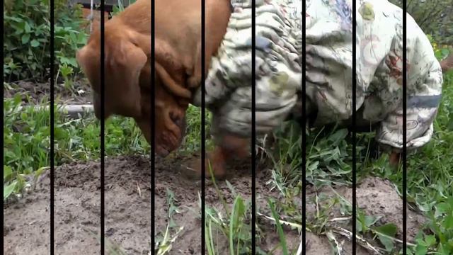 Тяжела и никозиста жизнь народного "ТАКСИСТА" смотреть онлайн