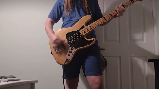 Descending (TOOL) - Bass Cover смотреть онлайн