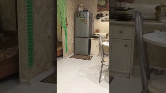 Ольга Федоровна (Зара Мигеевна) Танцует -Ах какая Женщина смотреть онлайн