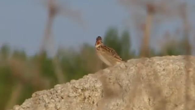 Особая экономическая зона "Дубна" смотреть онлайн