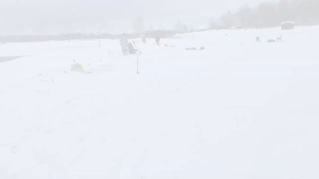 Обзор на поимки смотреть онлайн