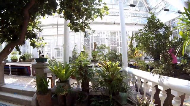 4K 昌慶宮 Changgyeonggung 창경궁 대온실 관덕정 ( Чхангёнгун ) In Seoul On Korea