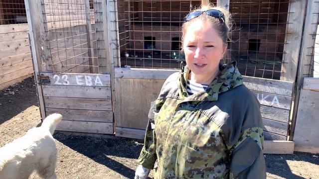 Приют для животных КРОО "Надежда" смотреть онлайн