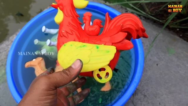 Membersihkan Sapi Bebek Angsa Ayam Buaya King Kong Kucing Onta Kepiting Panda Iguana Animal