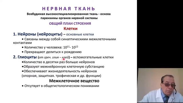 Гистология. Мышечная и нервная ткани смотреть онлайн