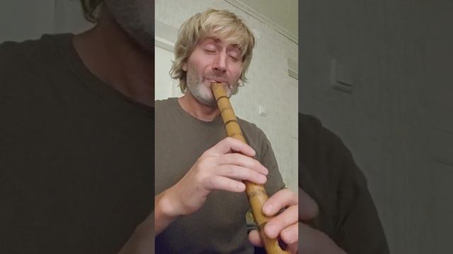 Подбираю что-то из памяти на японской флейте Shakuhachi смотреть онлайн