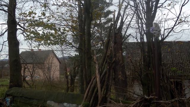 полёт сойки против ветра смотреть онлайн