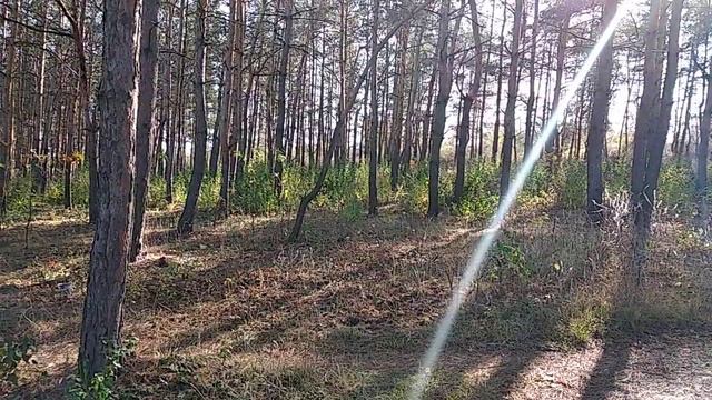 После очистки от поросли смотреть онлайн