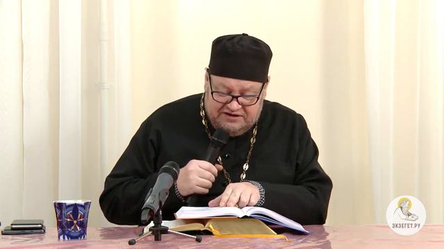 Евангелие от Иоанна. Глава 15. Протоиерей Олег Стеняев. Новый Завет смотреть онлайн