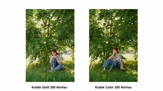 Kodak Color 200 vs Kodak Gold 200 смотреть онлайн
