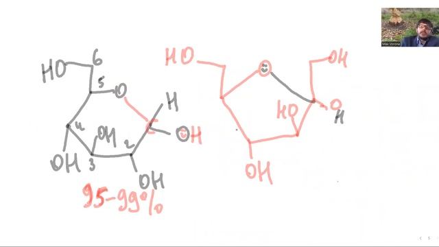 9 класс. Строение углеводов (глюкоза, фруктоза, рибоза), принципы строения ДНК, РНК. смотреть онлайн
