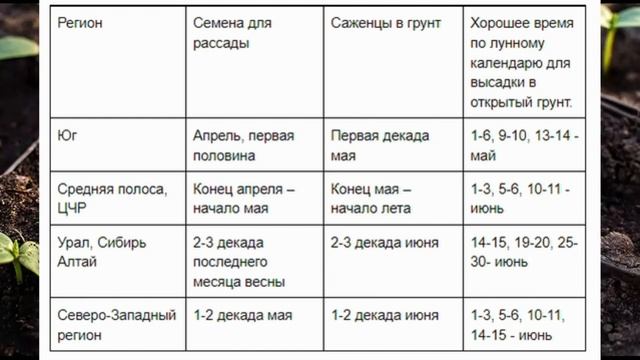 Когда сеять огурцы на рассаду в 2023 году по лунному календарю. Посевной календарь на 2023 таблица. смотреть онлайн