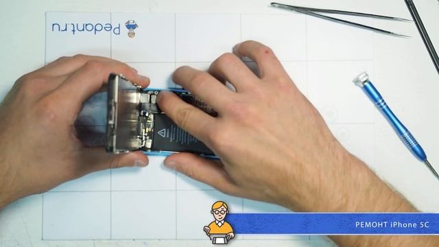 Ремонт iPhone 5C в сервисе Pedant.ru смотреть онлайн