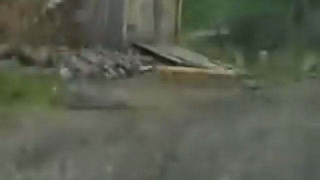 Алтамаш 1995 год ч2 смотреть онлайн