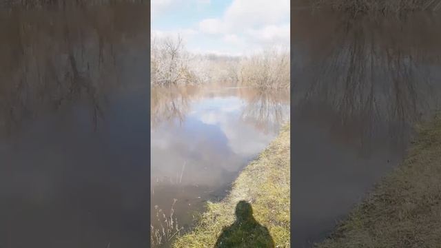 Половодье.Река затапливает.Паводок смотреть онлайн