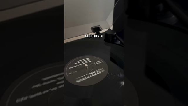 Как начинается идеальный день))) смотреть онлайн