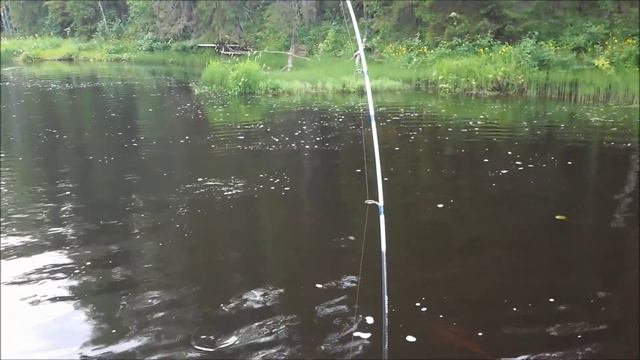Подломка Щука Трофей смотреть онлайн